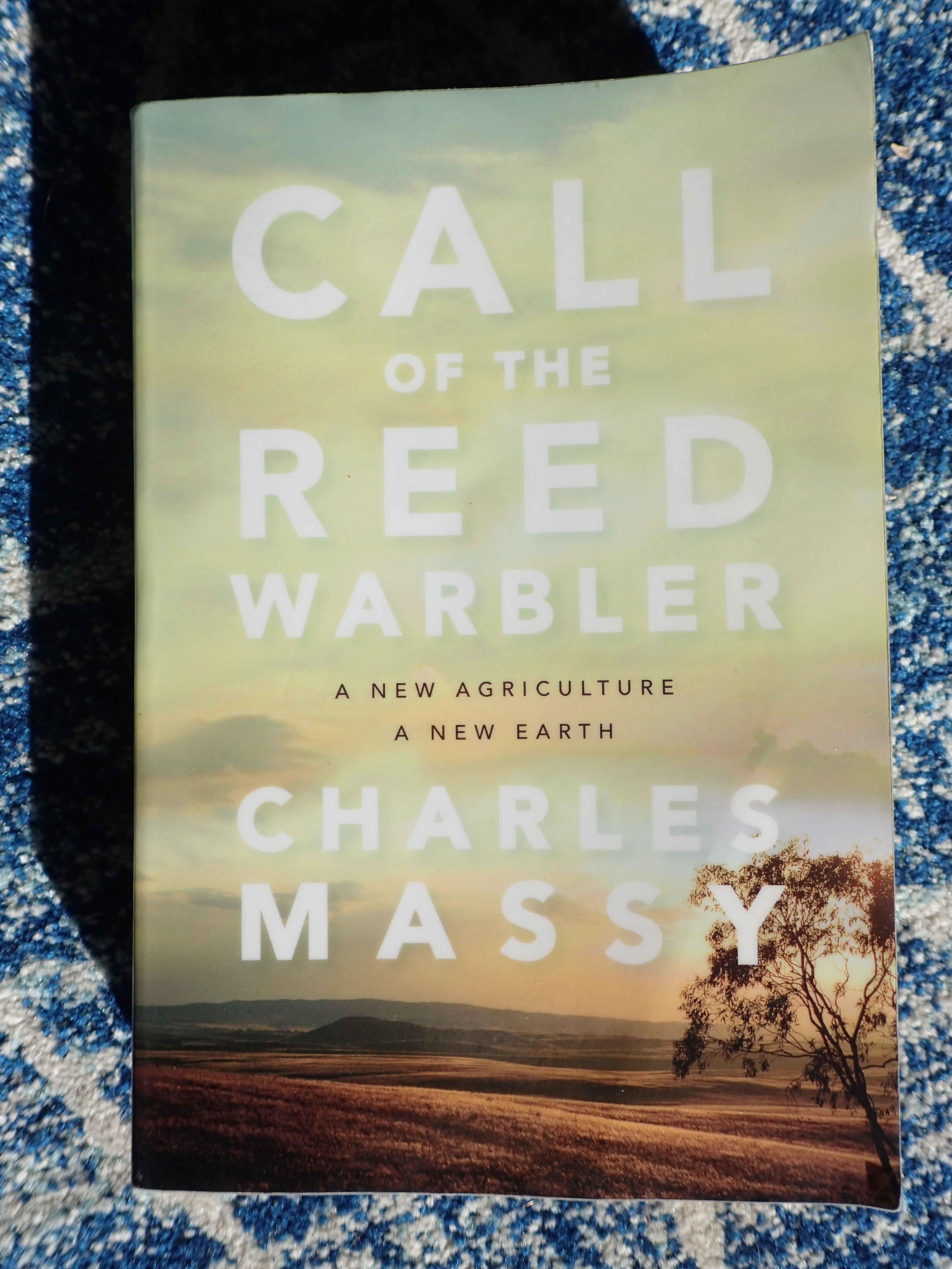 A photo of the book cover